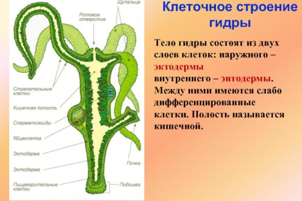 Кракен сайт 2krnk cc