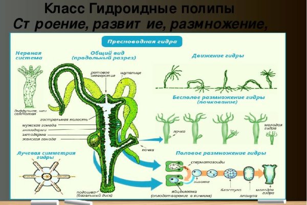 Кракен маркетплейс ссылка krakenat2krnkrnk com